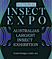 INSECT EXPO